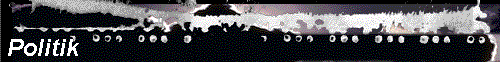 Politik